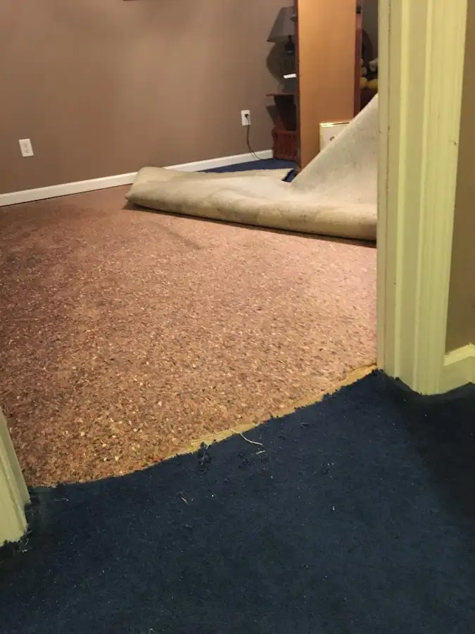 Carpet pad removal revealing water damage during Drying & Dehumidification in Hagerstown
